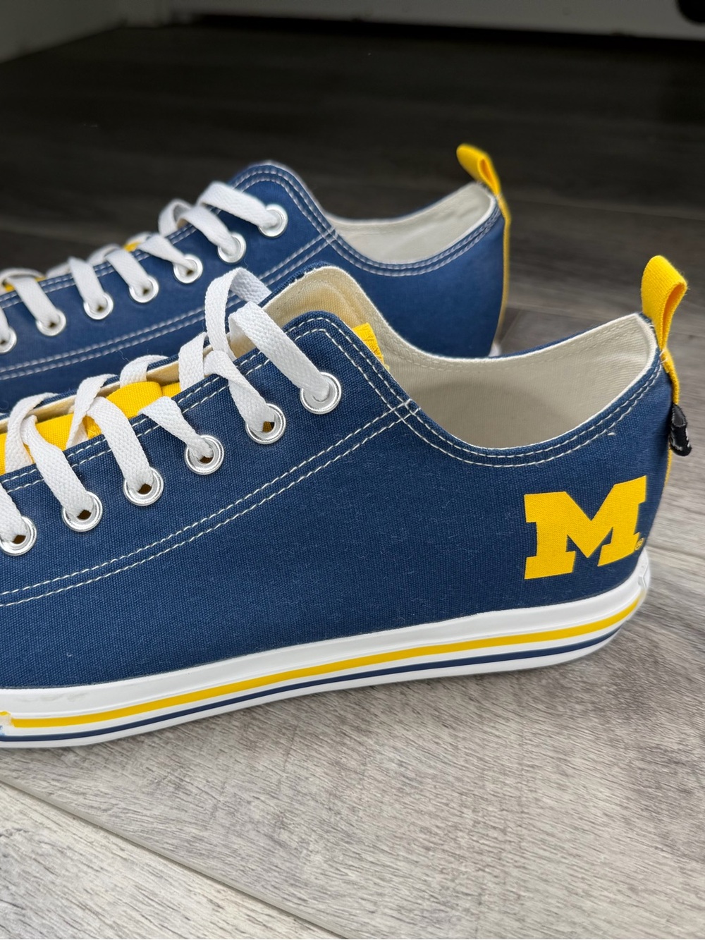 Skicks University of Michigan Low-Top Canvas Sneakers